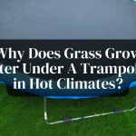 Why Does Grass Grow Faster Under A Trampoline in Hot Climates?